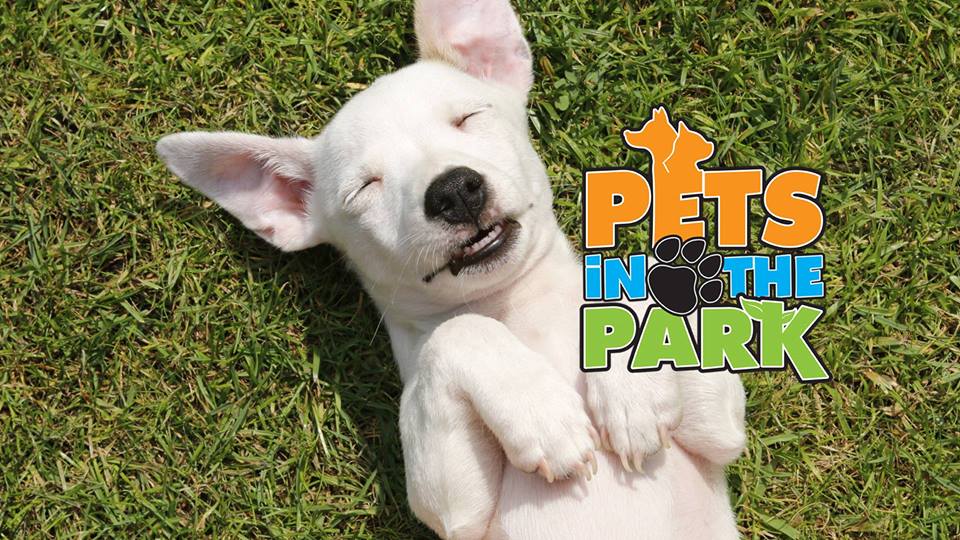 Take Your Furry Friends to Pets In the Park in New Bern!