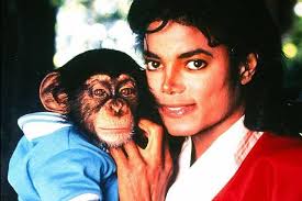 Artist In The Making: Michael Jackson’s Former Pet, Bubbles The Chimp, Is Now A Celebrated Painter.