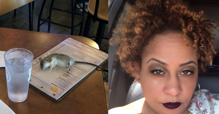 Rat Falls From Ceiling At Buffalo Wild Wings Restaurant in California