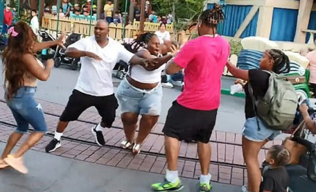 D.A. Files Felony Charges Against Participants In The Viral Disneyland Brawl