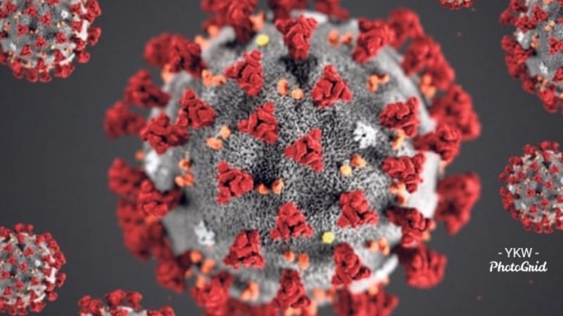Things You Should Know About The Coronavirus