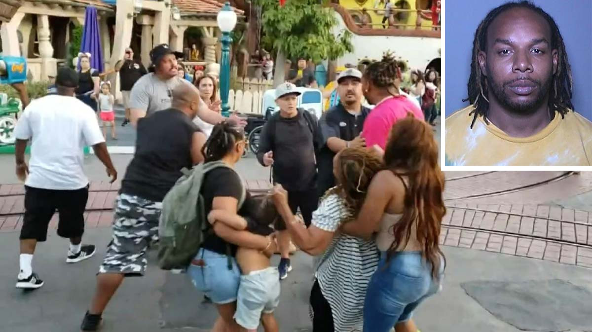 UPDATE: Man Gets 6 Months In Jail For Viral Disneyland Fight