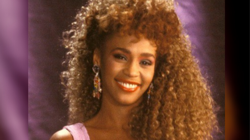 Whitney Houston MAC makeup collection.
