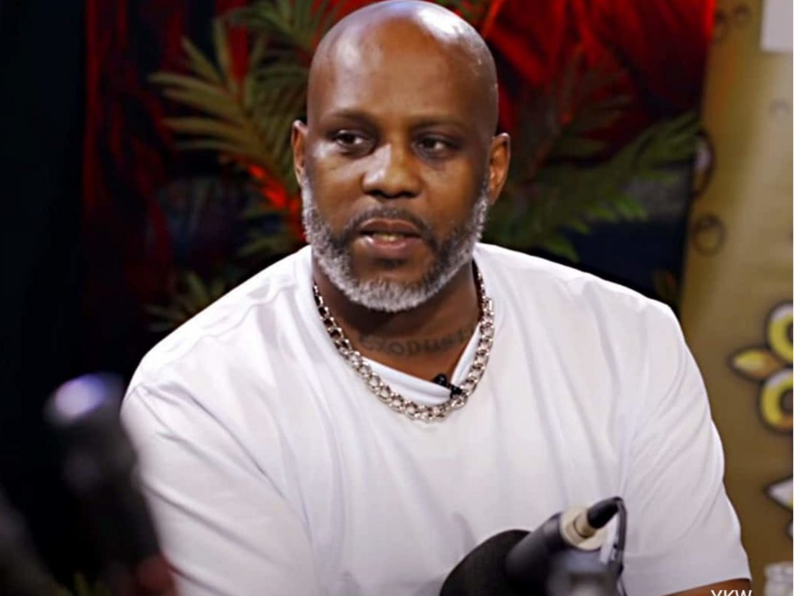 Another Child Comes Forward In DMX Estate Battle