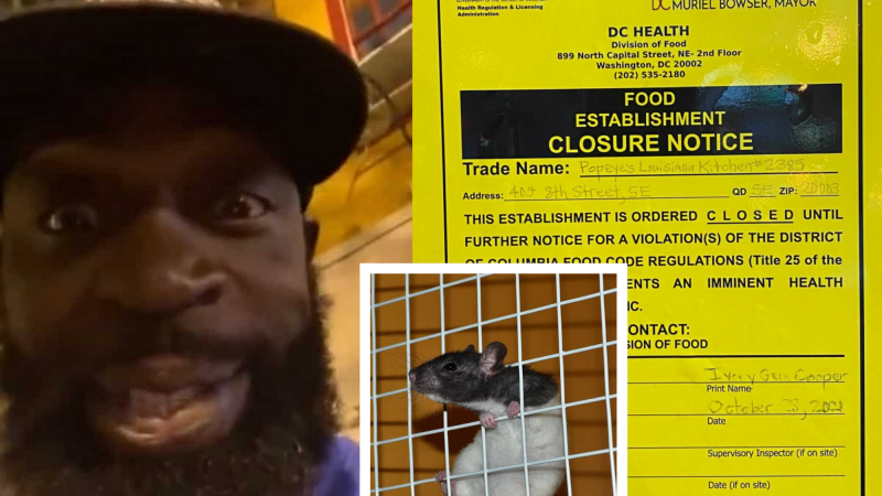 D.C. Popeyes closed after rats seen in viral video.