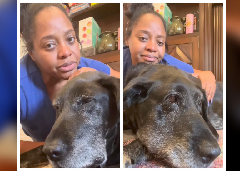 Sherri Shepherd mourns the loss of her dog Ashley.