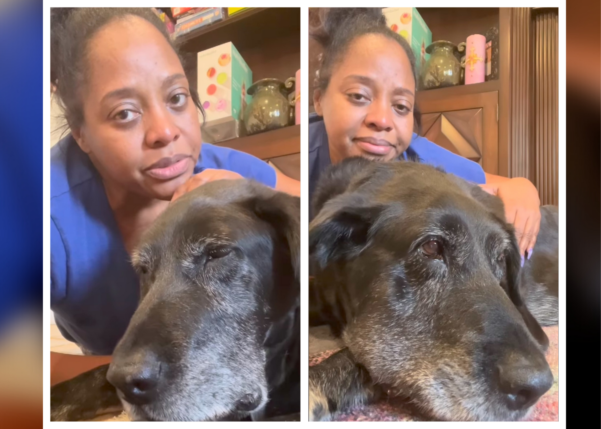 Sherri Shepherd Mourns The Loss Of Her Dog Ashley
