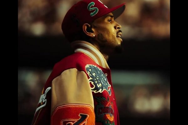 Chris Brown Lawsuit Over Nightclub Brawl Dismissed by Accuser