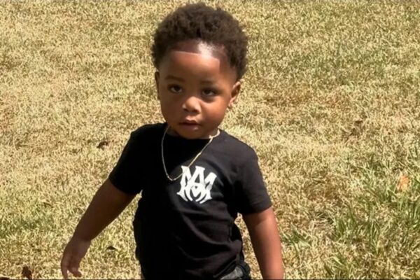 2-Year Old Mauled to Death by Babysitter’s Dogs