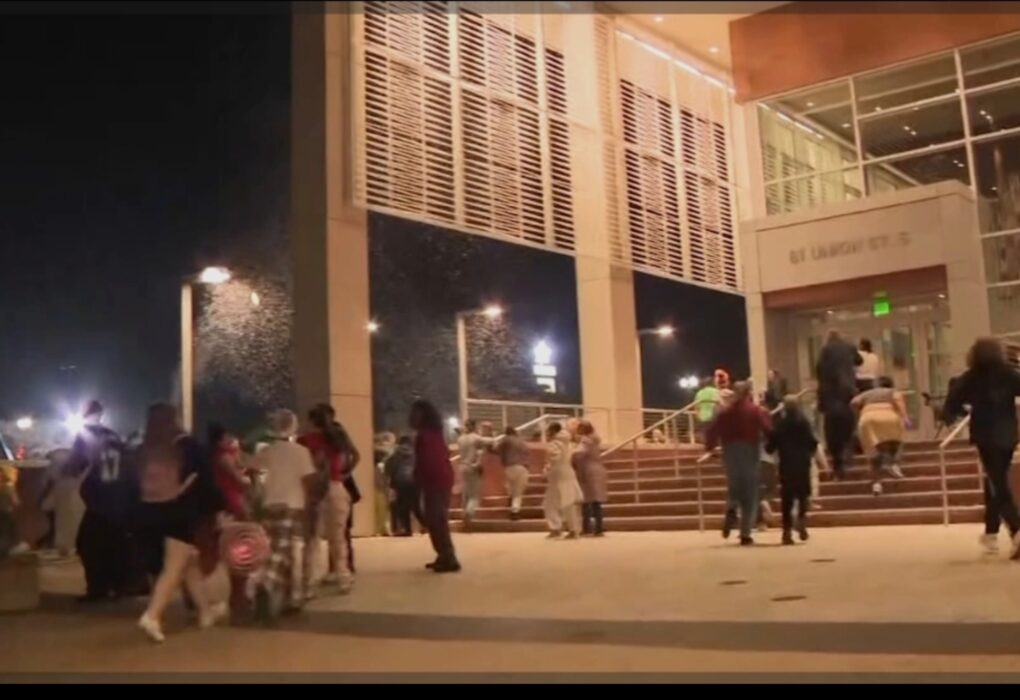 Concord tree lighting shooting